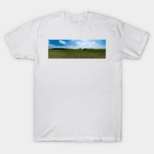 The field and the pollarded willows T-Shirt